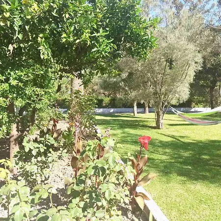 Angela Holiday home Vasiliki (Lefkada)